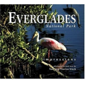 Everglades National Park Impressions